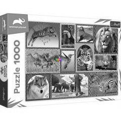 Puzzle - Animal Planet - Vadvilg montzs, 1000 db